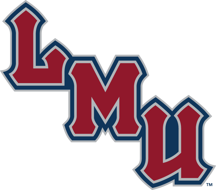 Loyola Marymount Lions 2001-Pres Wordmark Logo v4 iron on transfers for fabric